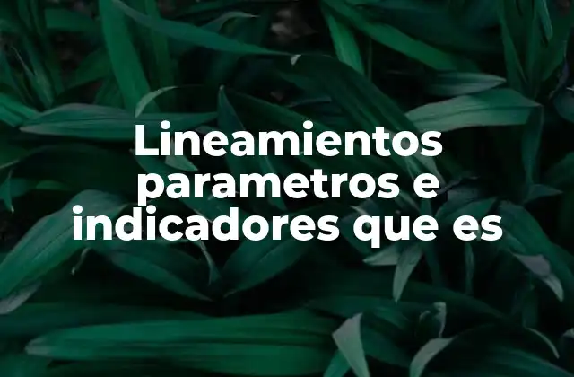 Lineamientos Parametros e Indicadores que es