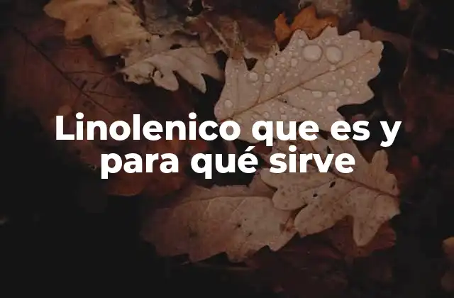 Linolenico que es y para Qué Sirve
