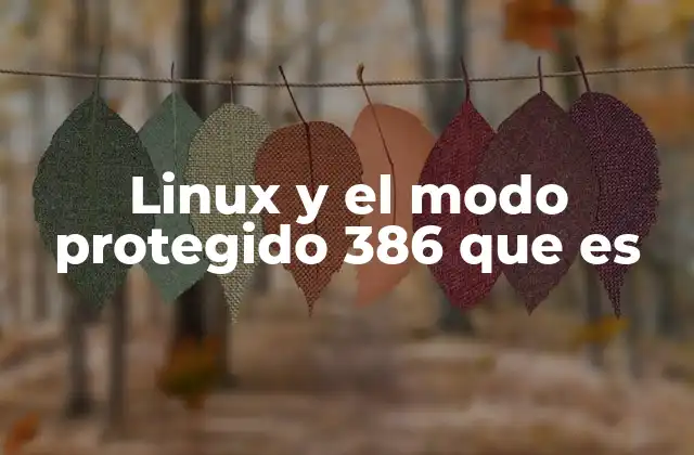 Linux y el Modo Protegido 386 que es