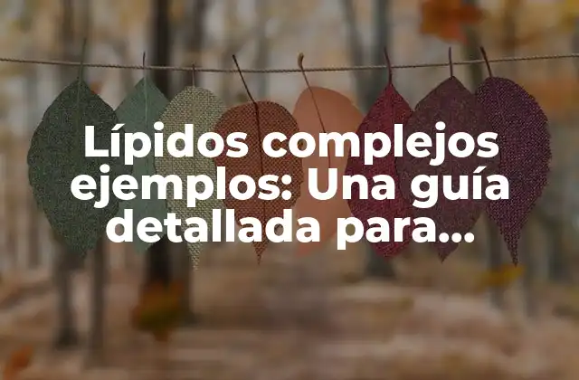 Lípidos Complejos Ejemplos: una Guía Detallada para Entender Su Importancia