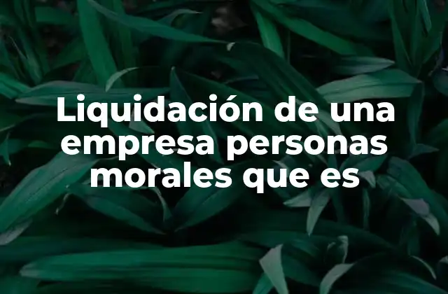 Liquidación de una Empresa Personas Morales que es