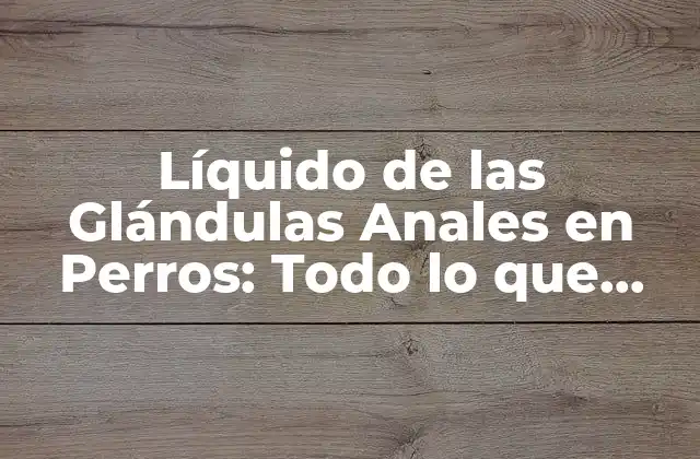 Líquido de las Glándulas Anales en Perros: Todo Lo que Necesitas Saber