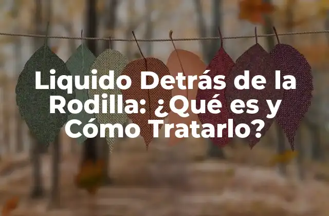 Liquido Detrás de la Rodilla: ¿qué es y Cómo Tratarlo? 2 Causas del Líquido Detrás de la Rodilla