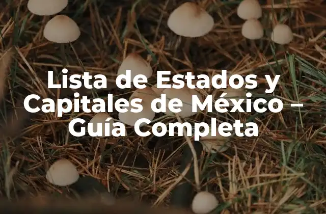 ¿Cuáles son los 32 Estados de México?