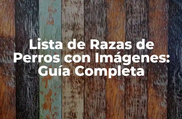 Lista de Razas de Perros con Imágenes: Guía Completa
