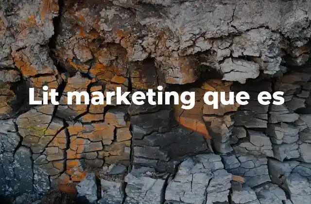 Lit Marketing que es