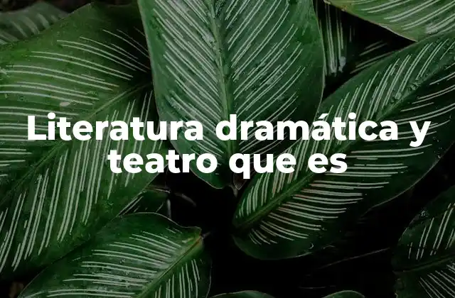 Literatura Dramática y Teatro que es