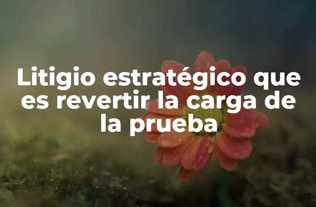 Litigio Estratégico que es Revertir la Carga de la Prueba