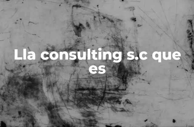 Lla Consulting S.c que es