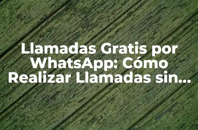 Llamadas Gratis por Whatsapp: Cómo Realizar Llamadas sin Costo 2 Requisitos para Realizar Llamadas Gratis por WhatsApp