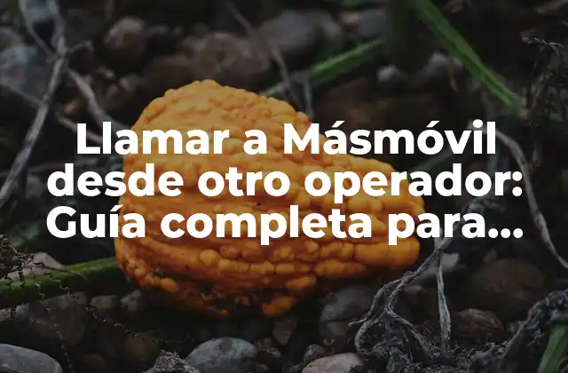Llamar a Másmóvil desde Otro Operador: Guía Completa para Portar Tu Número