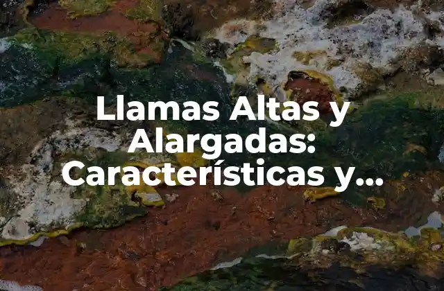 Llamas Altas y Alargadas: Características y Cuidado 2 Características Físicas de las Llamas Altas y Alargadas