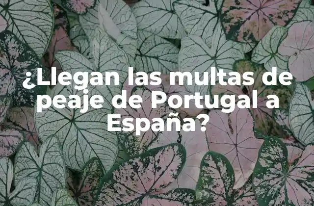 ¿llegan las Multas de Peaje de Portugal a España?