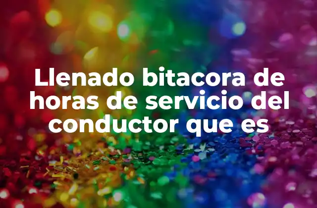 Llenado Bitacora de Horas de Servicio Del Conductor que es