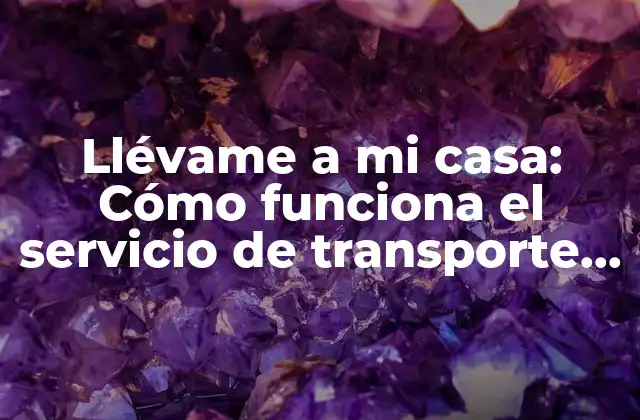 Llévame a Mi Casa: Cómo Funciona el Servicio de Transporte Compartido en Tiempo Real