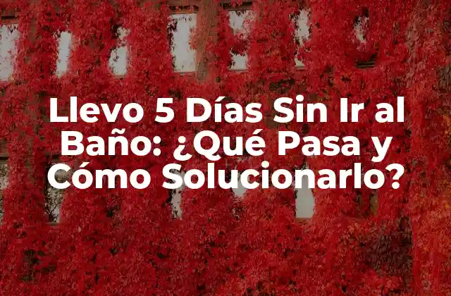 Llevo 5 Días sin Ir Al Baño: ¿qué Pasa y Cómo Solucionarlo?