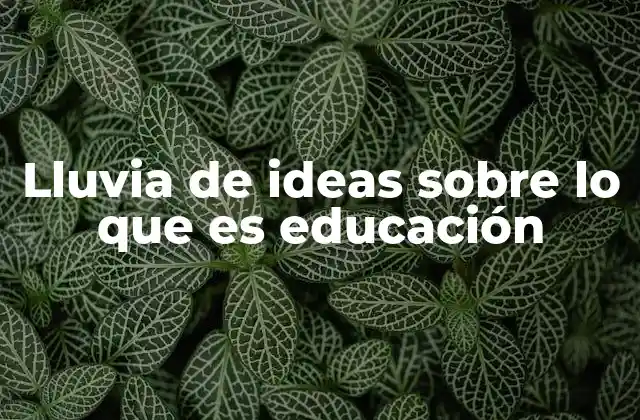 Lluvia de Ideas sobre Lo que es Educación