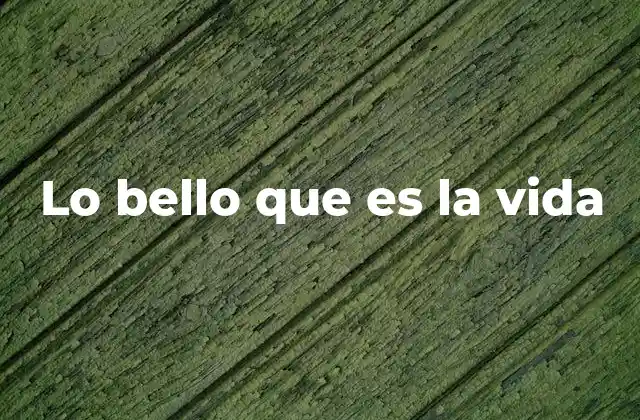 Lo Bello que es la Vida