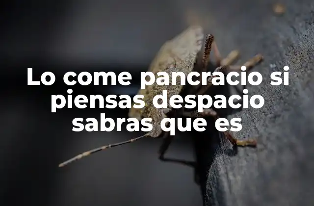 Lo Come Pancracio Si Piensas Despacio Sabras que es