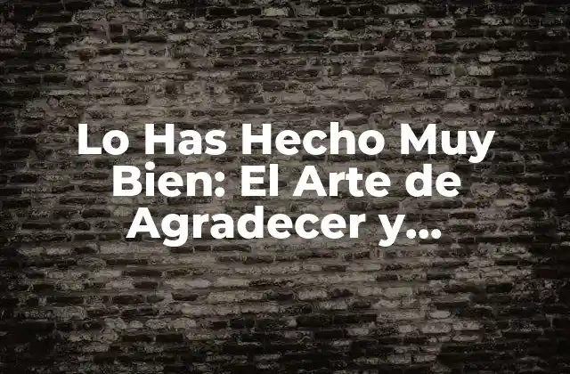 Lo Has Hecho Muy Bien: el Arte de Agradecer y Reconocer