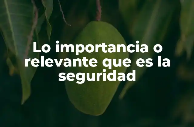 Lo Importancia o Relevante que es la Seguridad 2 La seguridad como base para el desarrollo sostenible