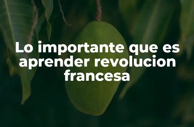 Lo Importante que es Aprender Revolucion Francesa