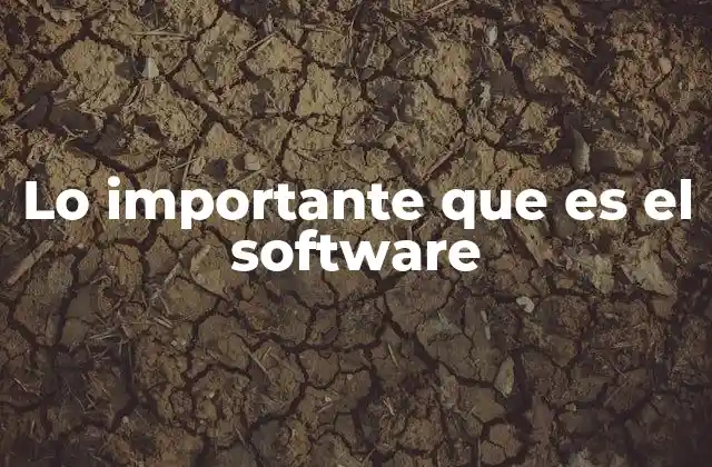 Lo Importante que es el Software