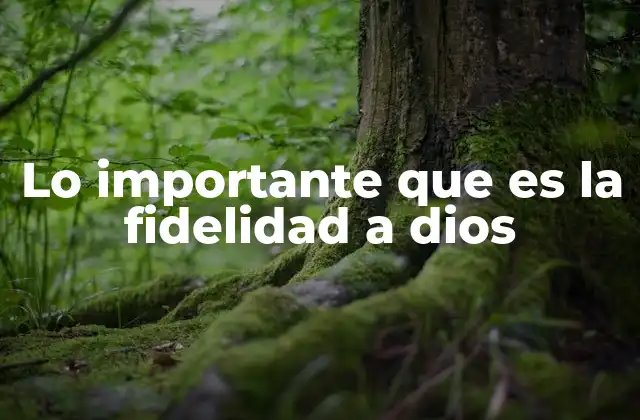 Lo Importante que es la Fidelidad a Dios 2 La fidelidad como fundamento de la relación con el Creador