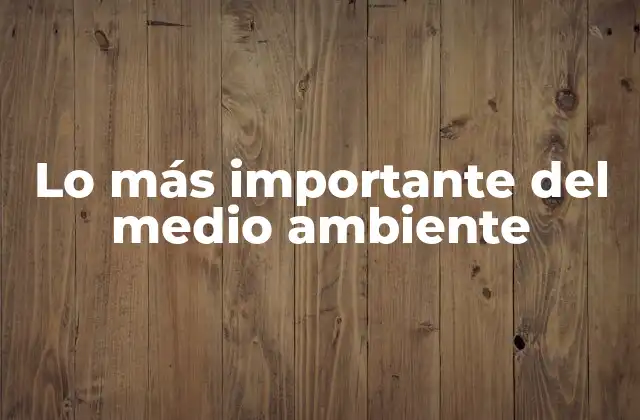 Lo Más Importante Del Medio Ambiente