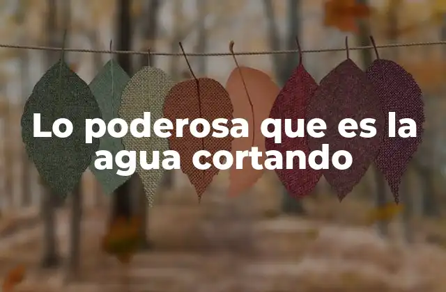 Lo Poderosa que es la Agua Cortando 2 El impacto de la fuerza del agua en la naturaleza y la ingeniería