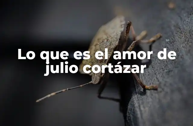 Lo que es el Amor de Julio Cortázar