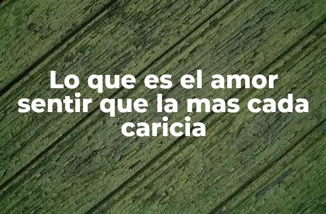 Lo que es el Amor Sentir que la mas Cada Caricia