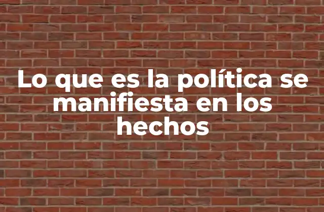 Lo que es la Política Se Manifiesta en los Hechos