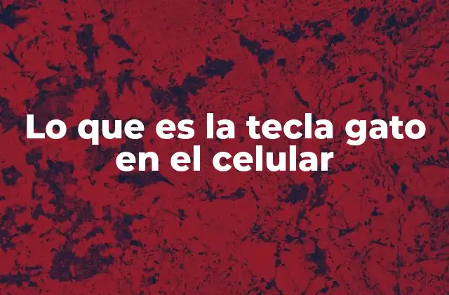 Lo que es la Tecla Gato en el Celular 2 La importancia de la tecla gato en la comunicación digital