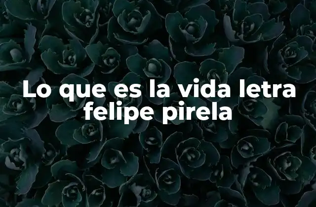 Lo que es la Vida Letra Felipe Pirela