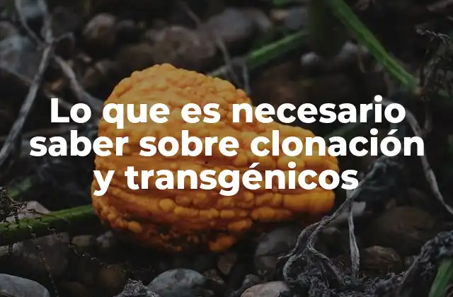 Lo que es Necesario Saber sobre Clonación y Transgénicos