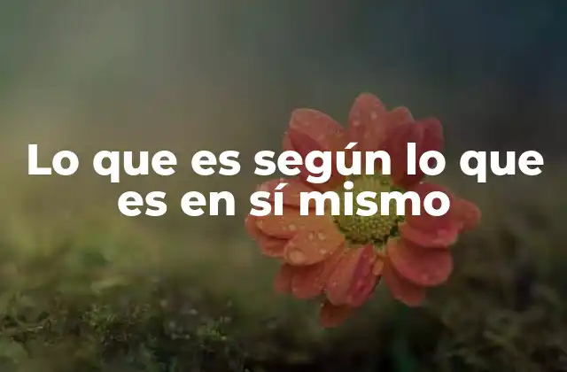 Lo que es según Lo que es en Sí Mismo