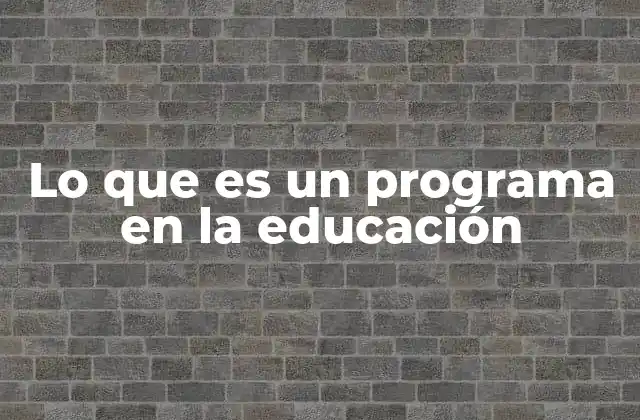 Lo que es un Programa en la Educación