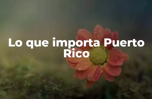 Lo que Importa Puerto Rico