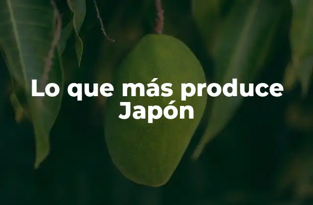 Lo que Más Produce Japón