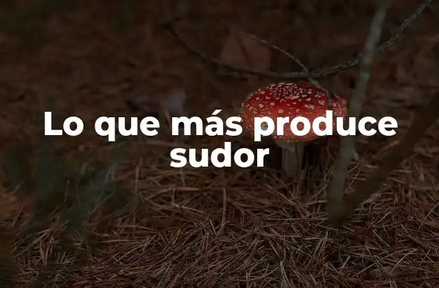 Lo que Más Produce Sudor