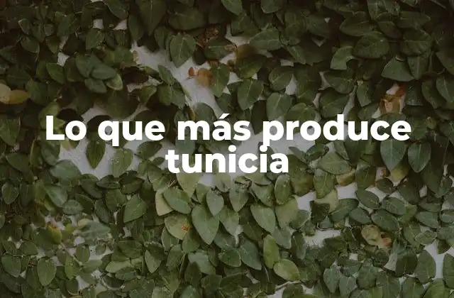 Lo que Más Produce Tunicia