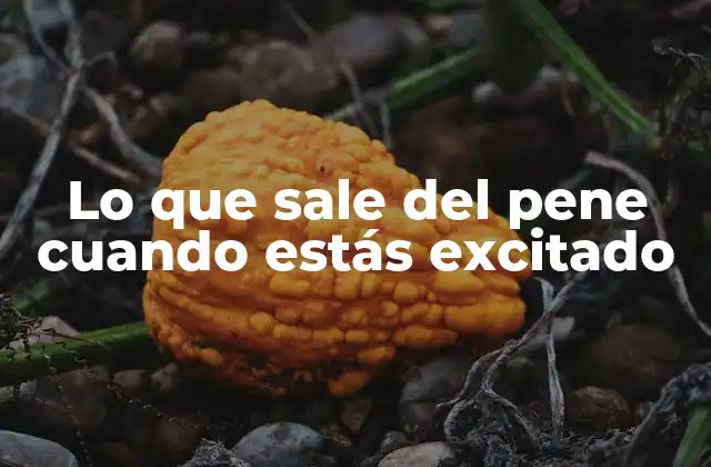 Lo que Sale Del Pene Cuando Estás Excitado