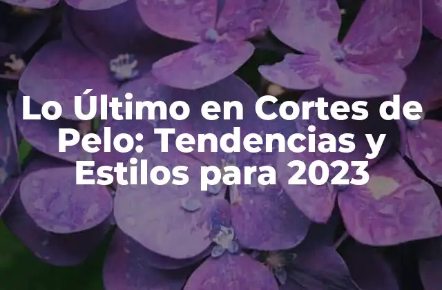 Lo Último en Cortes de Pelo: Tendencias y Estilos para 2023