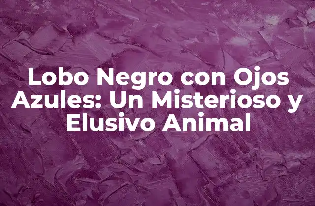 Lobo Negro con Ojos Azules: un Misterioso y Elusivo Animal