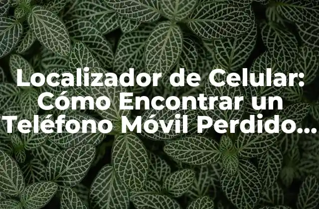 Localizador de Celular: Cómo Encontrar un Teléfono Móvil Perdido o Robado