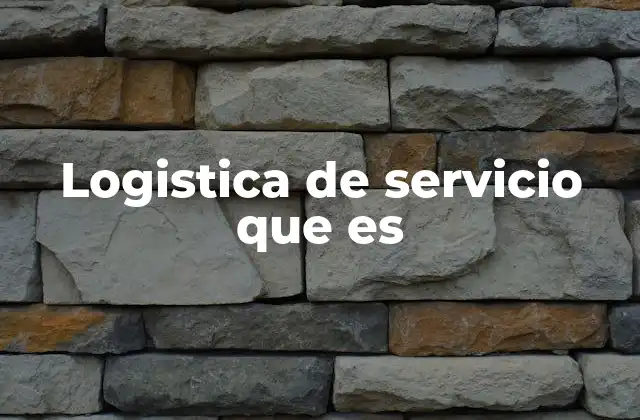 Logistica de Servicio que es