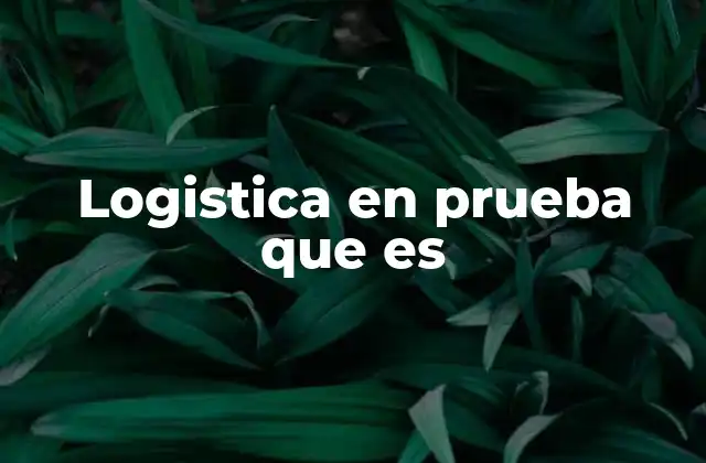 Logistica en Prueba que es
