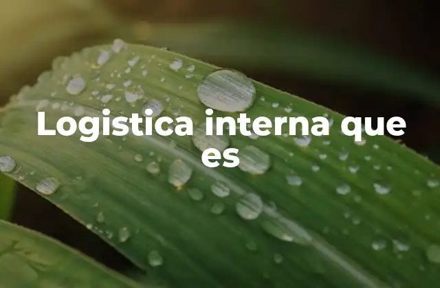 Logistica Interna que es