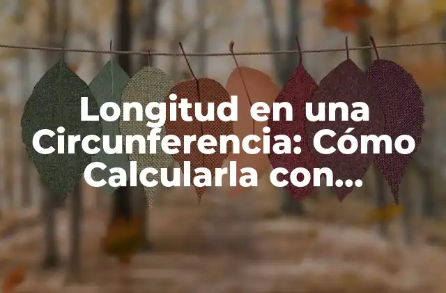 Longitud en una Circunferencia: Cómo Calcularla con Precisión 2 Fórmula para Calcular la Longitud en una Circunferencia
